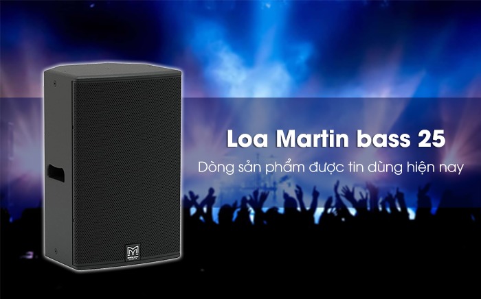 Loa Martin Bass 25 Loại Nào Tốt? Bí Quyết Chọn Mua Bất Bại!