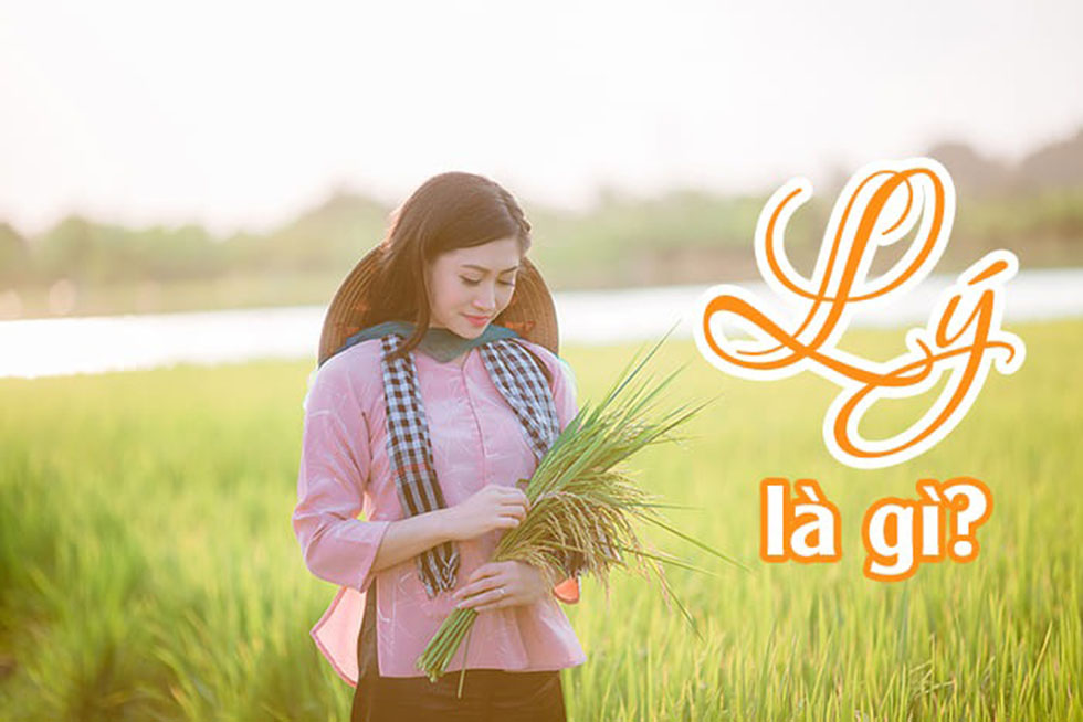 Lý Là Gì? Định Nghĩa và Ý Nghĩa Đặc Biệt
